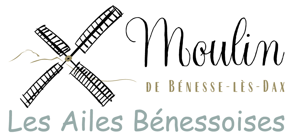 Logo Ailes Benessoises 2024.jpg (881 KB)